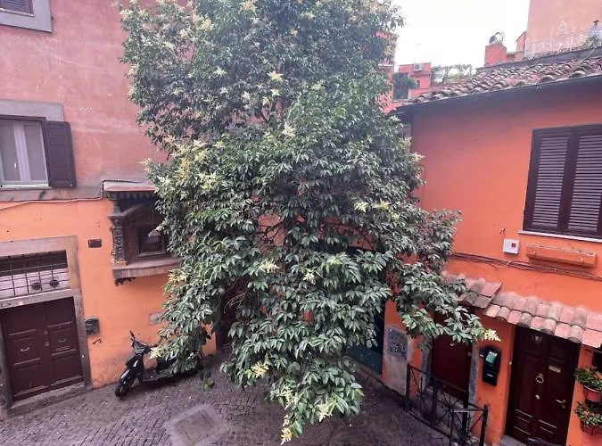 Domus Remi Appartamento *